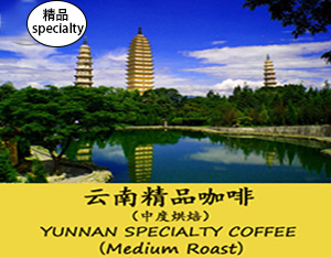 Yunnan Specialty Coffee