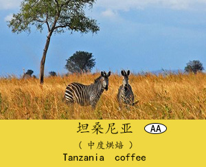 坦桑尼亚(AA)