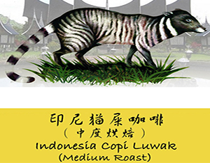 Indonesia Luwak