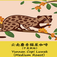 Yunan Civet Coffee