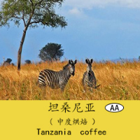 坦桑尼亚(AA)