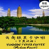 Yunnan  Typica Coffee