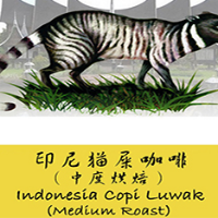 Indonesia Luwak